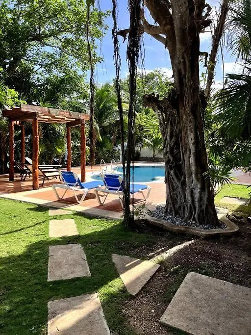 Studio Au Coeur De La Marina Apartment Puerto Aventuras